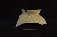 陶罐藏品圖，第1張